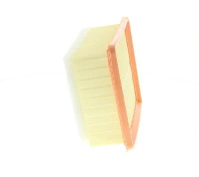 Filtre à air PURFLUX - A1159