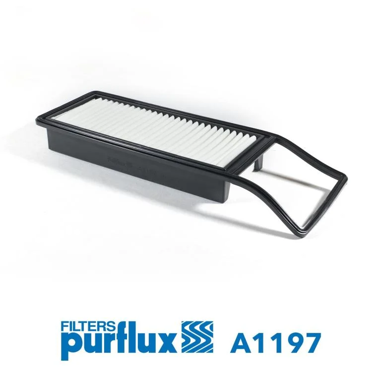 Filtre à air PURFLUX - A1197