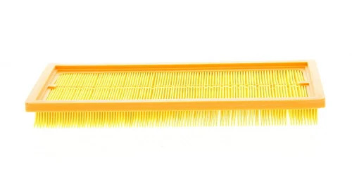 Filtre à air PURFLUX - A1261