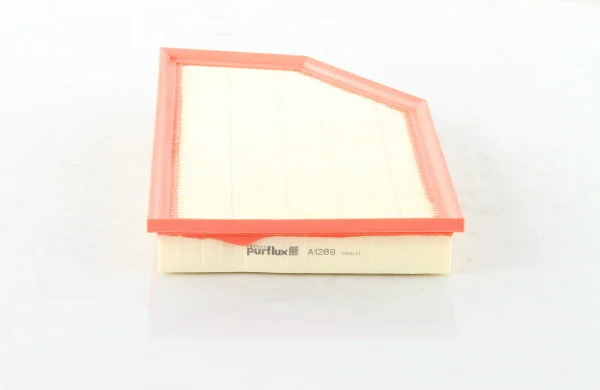 Filtre à air PURFLUX - A1289