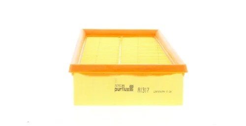 Filtre à air PURFLUX - A1317