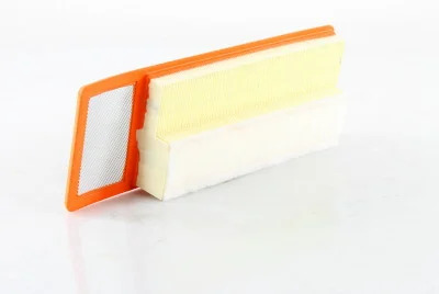 Filtre à air MECAFILTER - ELP9345